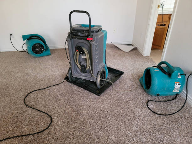 Best Flood restoration services  in Thief River Falls, MN