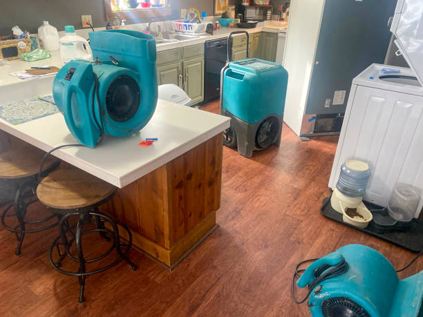 Thief River Falls, MN Water damage restoration Company
