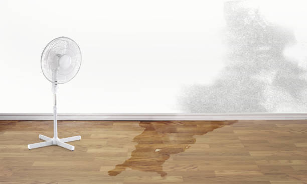 Best 24-hour water damage restoration  in Thief River Falls, MN