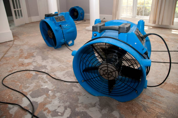 Best Sewage cleanup and water damage restoration  in Thief River Falls, MN