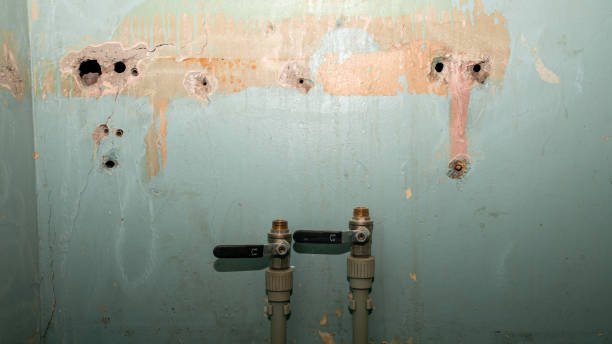 Professional Water damage restoration in Thief River Falls, MN