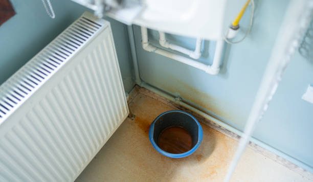 Best Mold removal after water damage  in Thief River Falls, MN