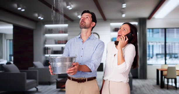 Best Carpet water damage restoration  in Thief River Falls, MN