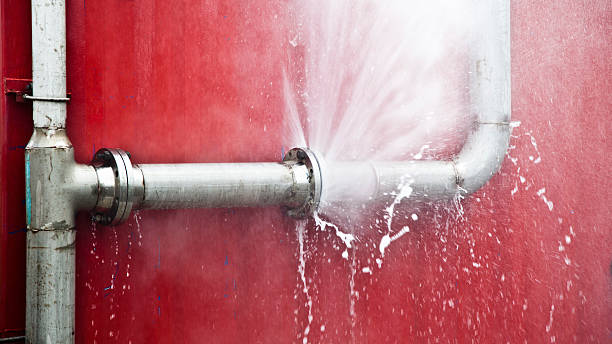 Best Emergency water damage restoration  in Thief River Falls, MN